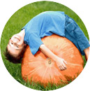 игра тыквенный краб